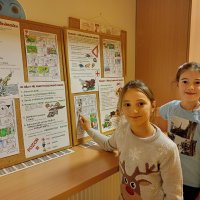 4. třída 2024/2025